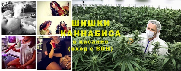 тгк Шадринск