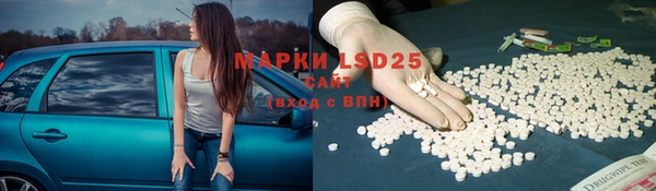 тгк Шадринск