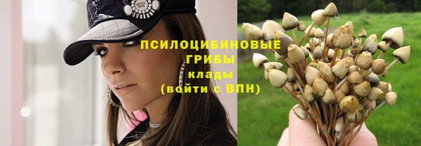 тгк Шадринск