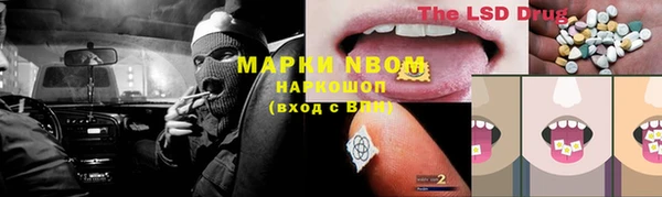 тгк Шадринск