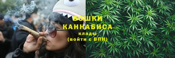 тгк Шадринск