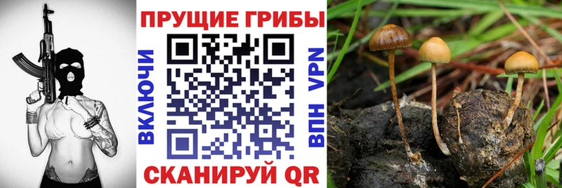 Галлюциногенные грибы мицелий Комсомольск-на-Амуре