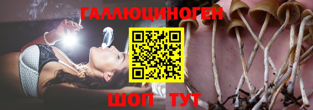 Галлюциногенные грибы Magic Shrooms  Вход с VPN  Галлюциногенные грибы Psilocybine cubensis  цены   Комсомольск-на-Амуре 